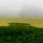 Château Trillon Maison d'hôtes 3*