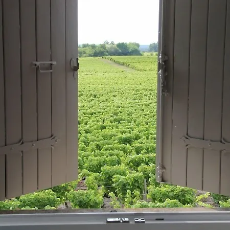 Гостевой дом Chateau Trillon Сотерн