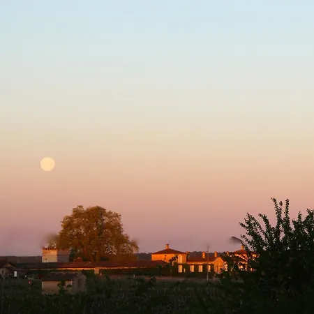 Гостевой дом Chateau Trillon