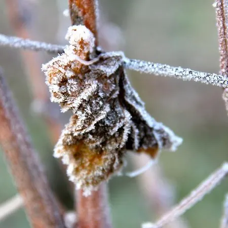 Гостевой дом Chateau Trillon Сотерн