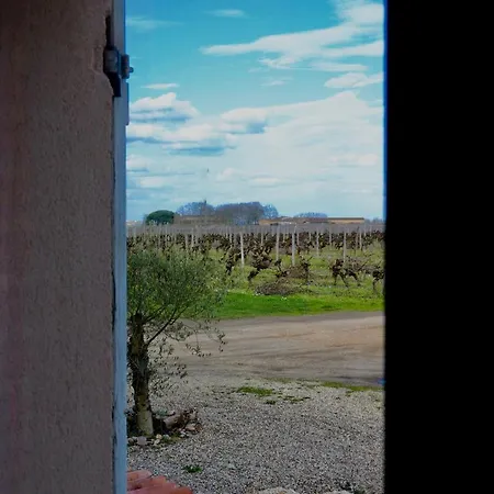 Chateau Trillon 3* Сотерн