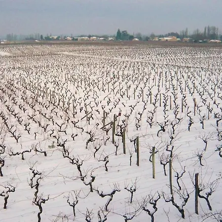 Chateau Trillon