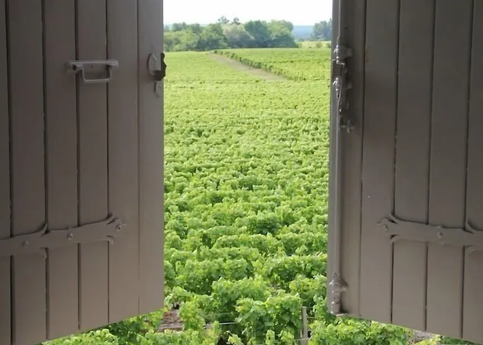 게스트하우스 Chateau Trillon 소테른