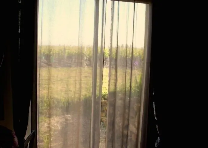 Chateau Trillon Гостевой дом Сотерн