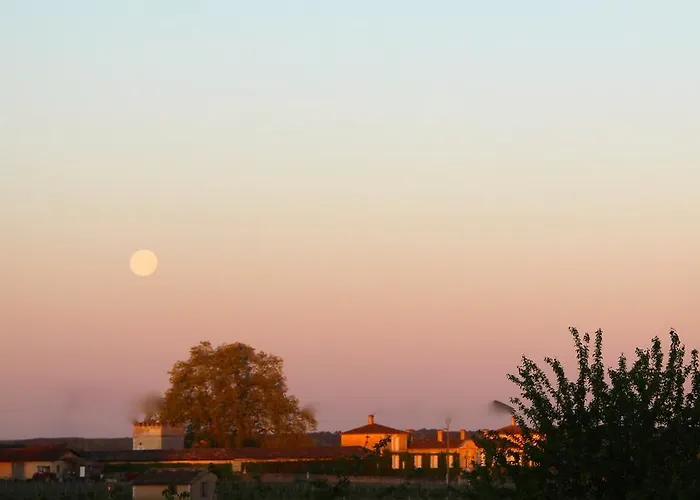 게스트하우스 Chateau Trillon