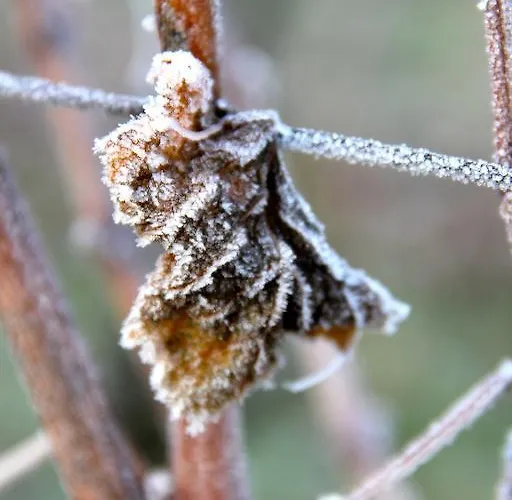 Гостевой дом Chateau Trillon Сотерн