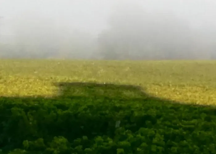 Chateau Trillon Гостевой дом 3*