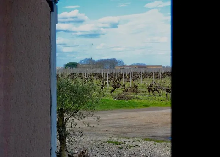 Chateau Trillon 3* 소테른