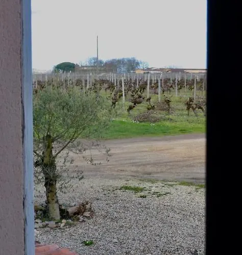 Chateau Trillon Гостевой дом 3*