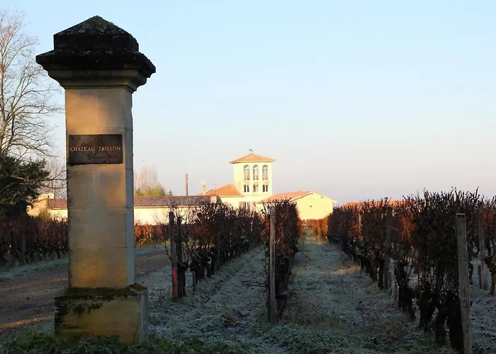 Chateau Trillon Гостевой дом 3*